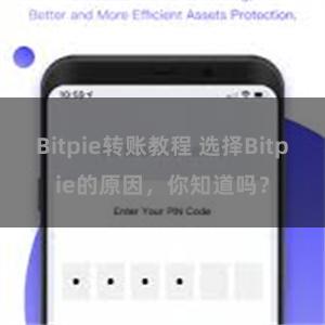 Bitpie转账教程 选择Bitpie的原因，你知道吗？