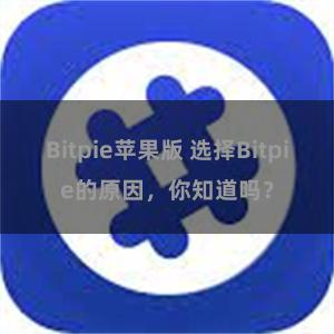 Bitpie苹果版 选择Bitpie的原因，你知道吗？