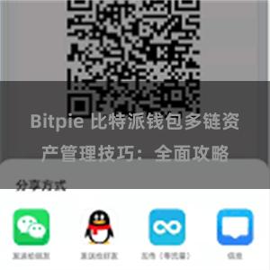 Bitpie 比特派钱包多链资产管理技巧：全面攻略