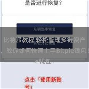 比特派教程 轻松管理多链资产，教你如何快速上手Bitpie钱包！