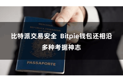 比特派交易安全  Bitpie钱包还相沿多种考据神志