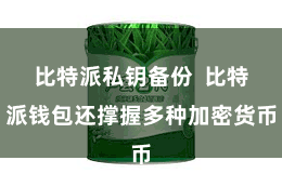 比特派私钥备份  比特派钱包还撑握多种加密货币