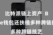 比特派链上资产  Bitpie钱包还扶植多种跨链技艺
