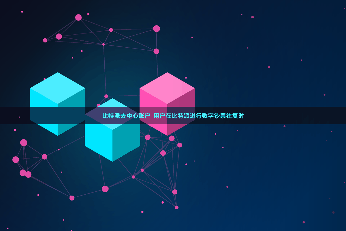 比特派去中心账户  用户在比特派进行数字钞票往复时